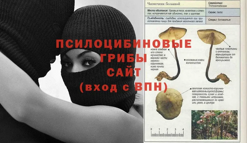 как найти наркотики  Верещагино  hydra как зайти  Галлюциногенные грибы Psilocybine cubensis 